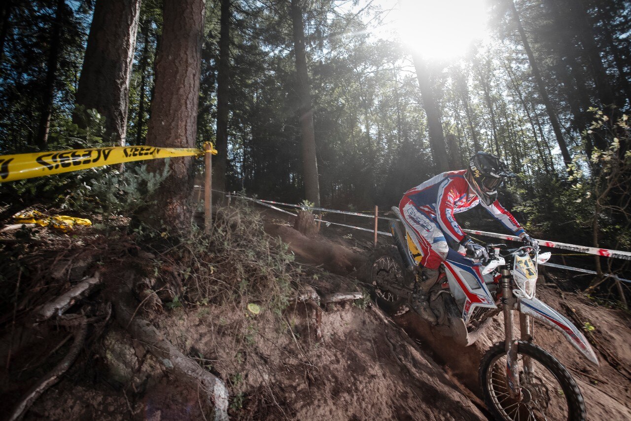 Steve Holcombe: ME LI BEVO TUTTI!